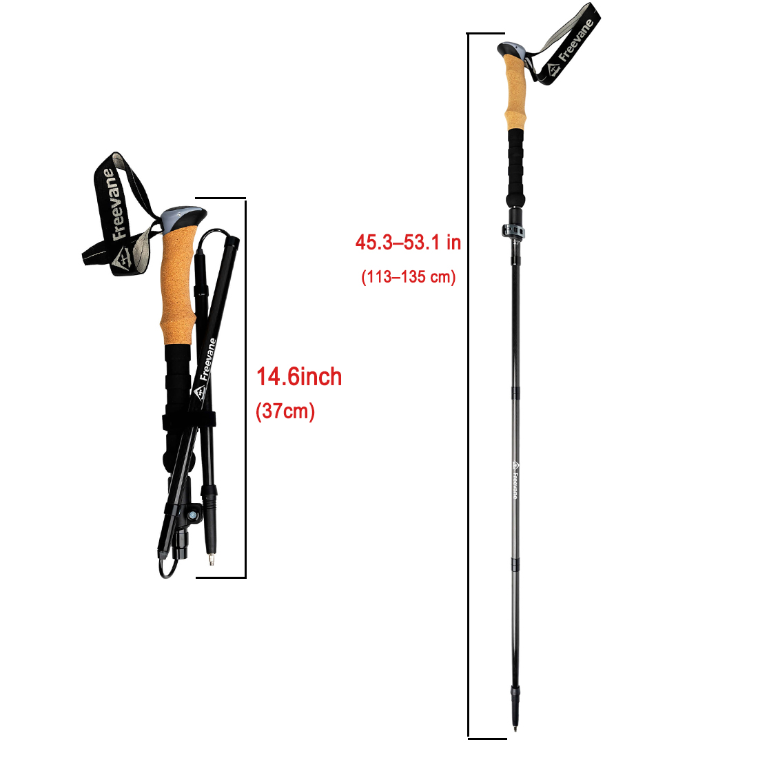 ไม้เท้าคาร์บอนน้ำหนักเบาพิเศษแ - Trekking Pole Carbon บทวิจารณ์และราคา