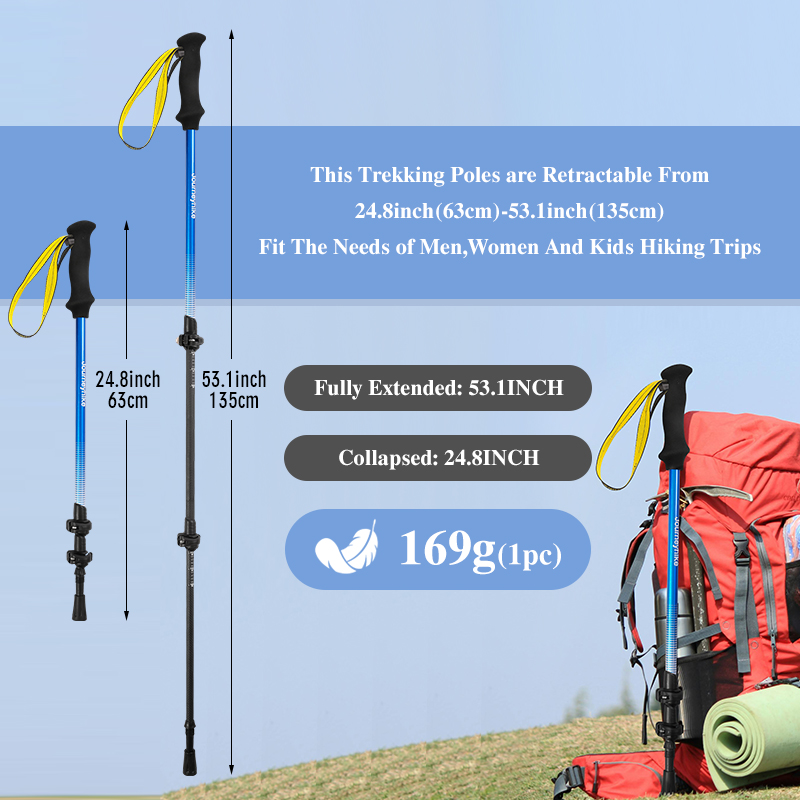 ไม้เท้าเดินป่าคาร์บอนไฟเบอร์ 3 - Trekking Pole Carbon บทวิจารณ์และราคา